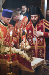 jarek11 
St. Catherine feast in Zaleszany Convent 
2021-12-08 09:13:40
