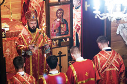 jarek11 
St. Catherine feast in Zaleszany Convent 
2021-12-08 09:16:07