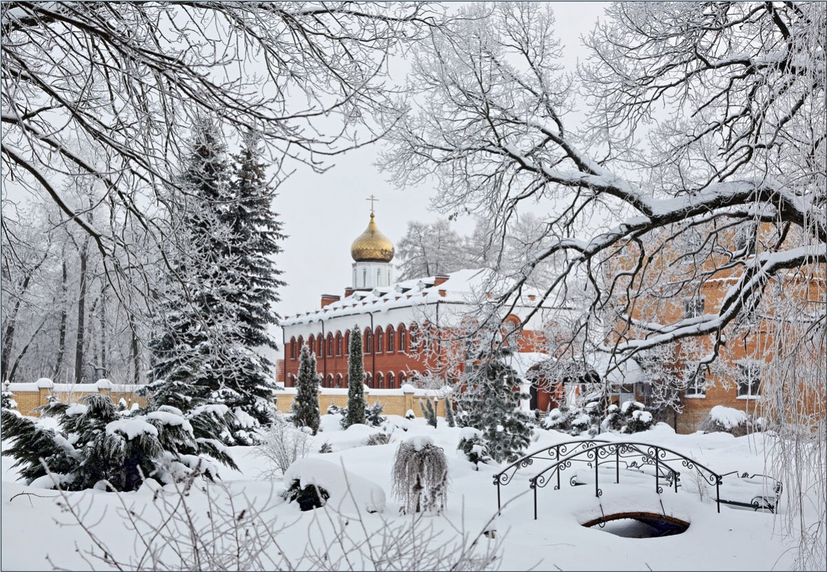 Зимняя прогулка