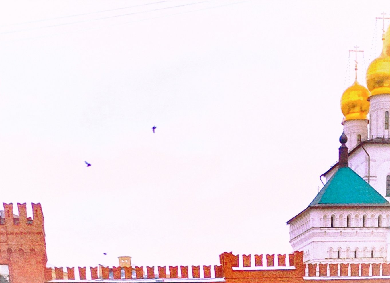 Птицы