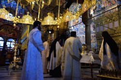 Sheep1389 
Blessing of the water, Rila monaster, Epiphany 2022 
2022-01-14 15:18:37