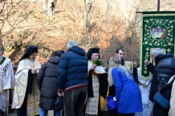 Sheep1389 
Blessing people by the Holy Water, Epiphany 2022 at Rila monastery 
2022-01-15 20:37:43
