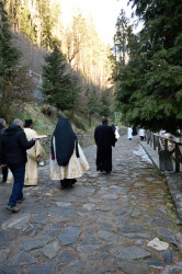 Sheep1389 
Theophany procession, Rila, 06.01.2022 
2022-01-15 20:42:16