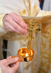 levangabechava 
Zugdidi-Tsaishi Diocese. Georgia 
2022-01-19 13:21:16