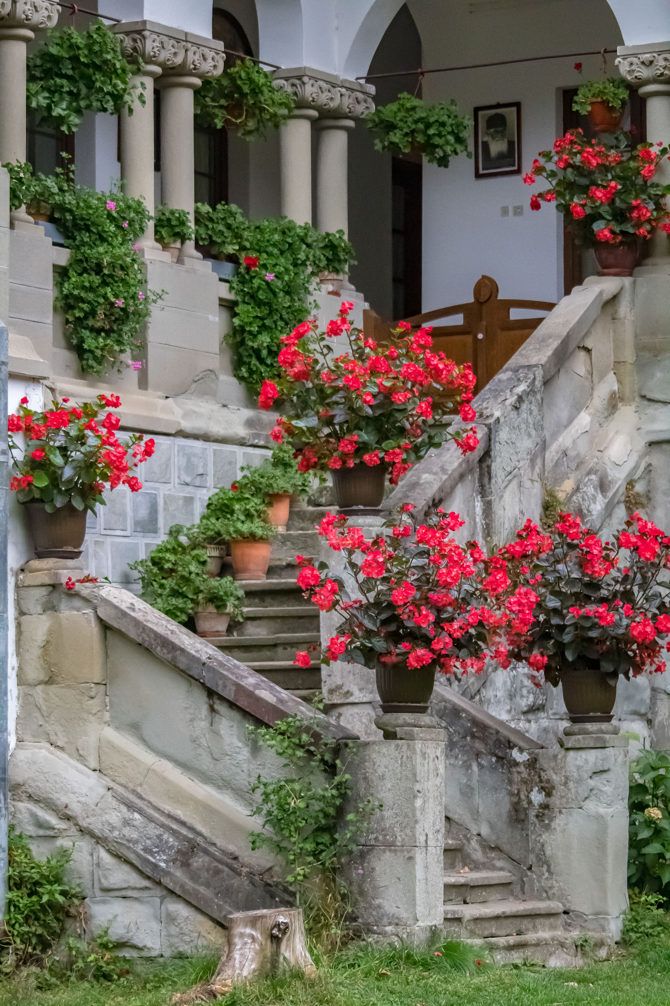 Monks love flowers
