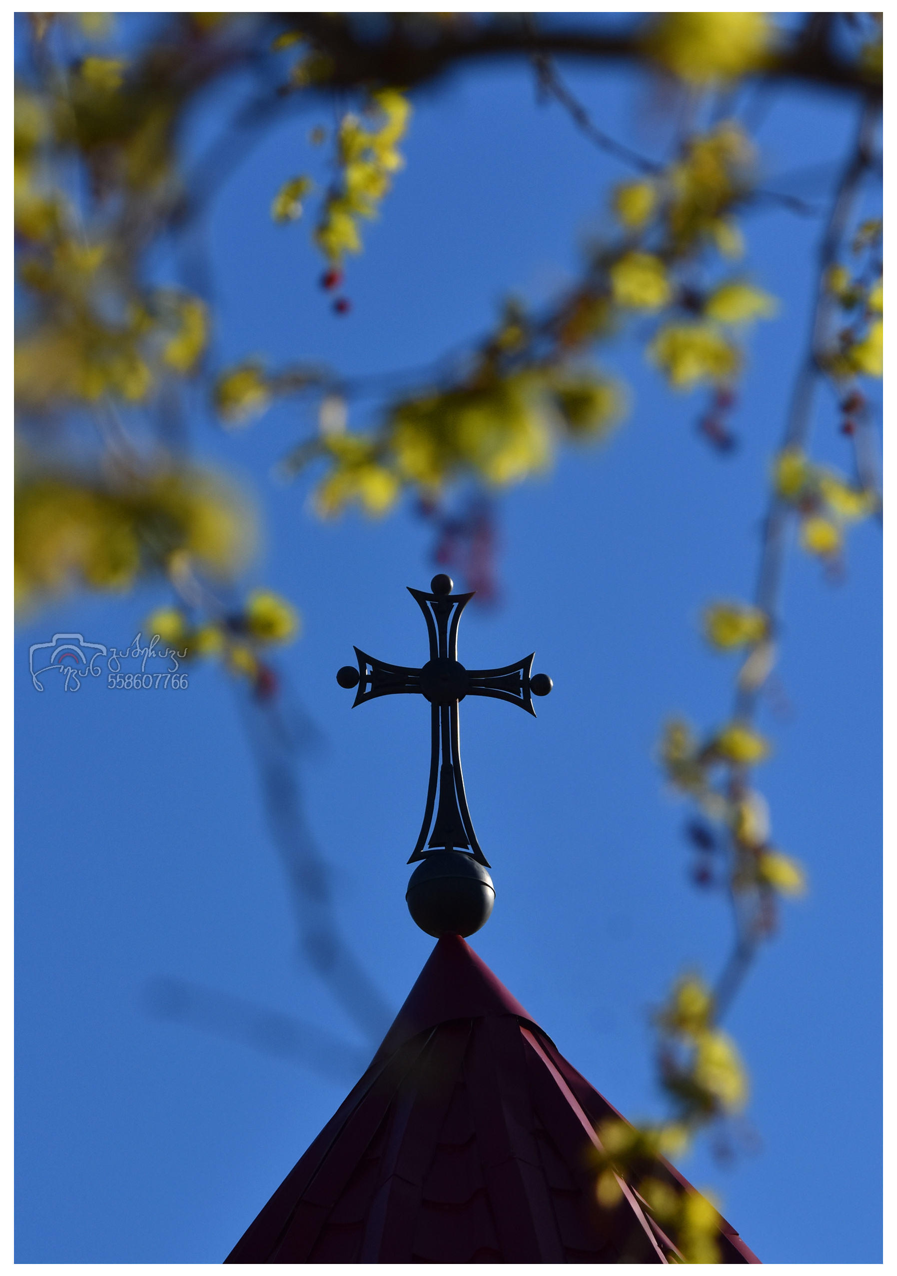 The Orthodox church in Zugdidi. Georgia.