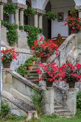 gbgval 
Monks love flowers 
2022-02-04 15:28:13