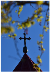 levangabechava 
The Orthodox church in Zugdidi. Georgia. 
2022-02-20 11:30:37