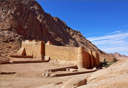 tolmargarita