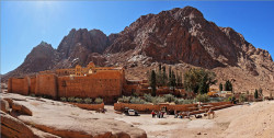 tolmargarita