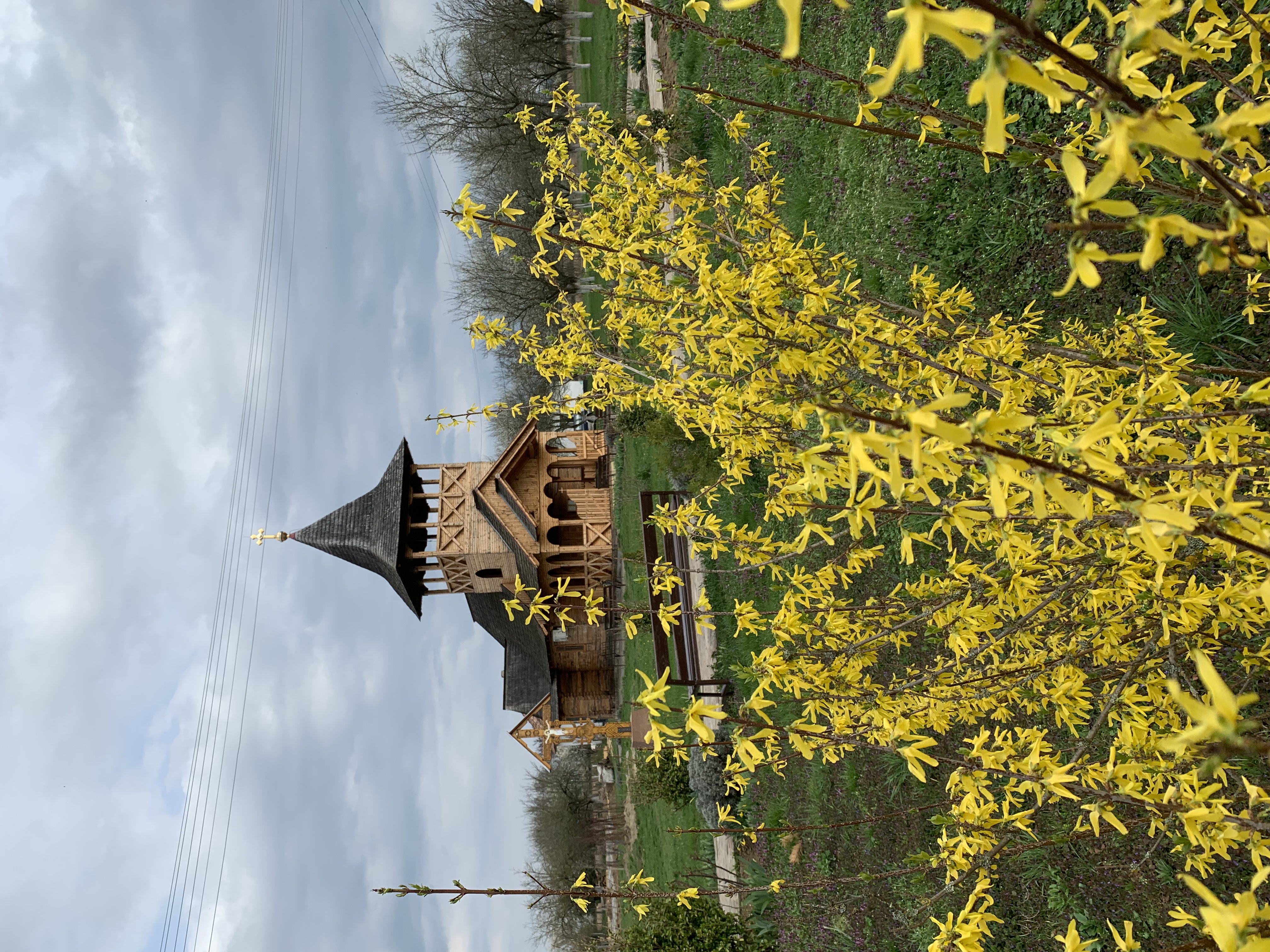 Spring