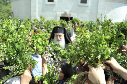 aleqsandre 
ბზობის დღესასწაული ზუგდიდისა და ცაიშის ეპარქიაში. 
2022-04-17 18:59:26