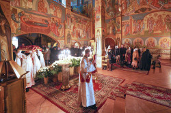 jarek11 
Paschal service in Zwierki Convent 
2022-04-30 19:19:09