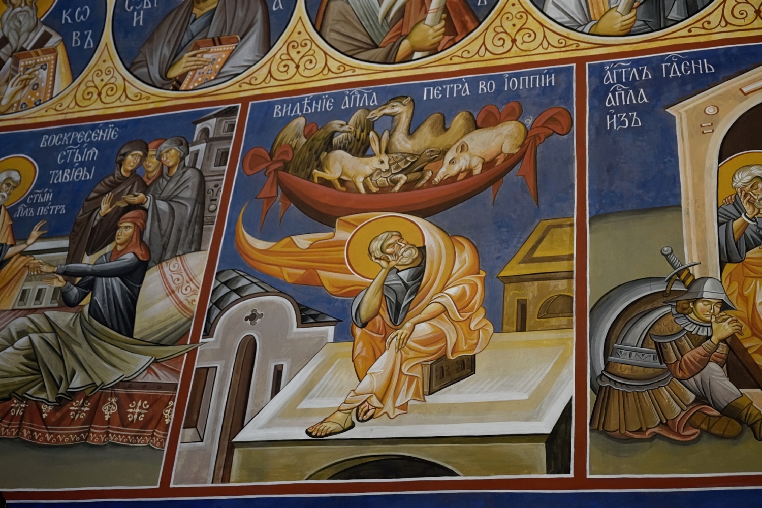 Zabijaj Piotrze i jedz - divotinski monaster