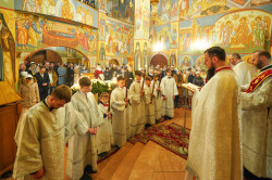 jarek 
Paschal service in Zwierki Convent 
2022-05-03 19:33:00