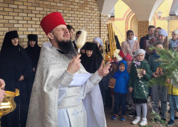 jarek 
Paschal service in Zwierki Convent 
2022-05-03 19:34:22