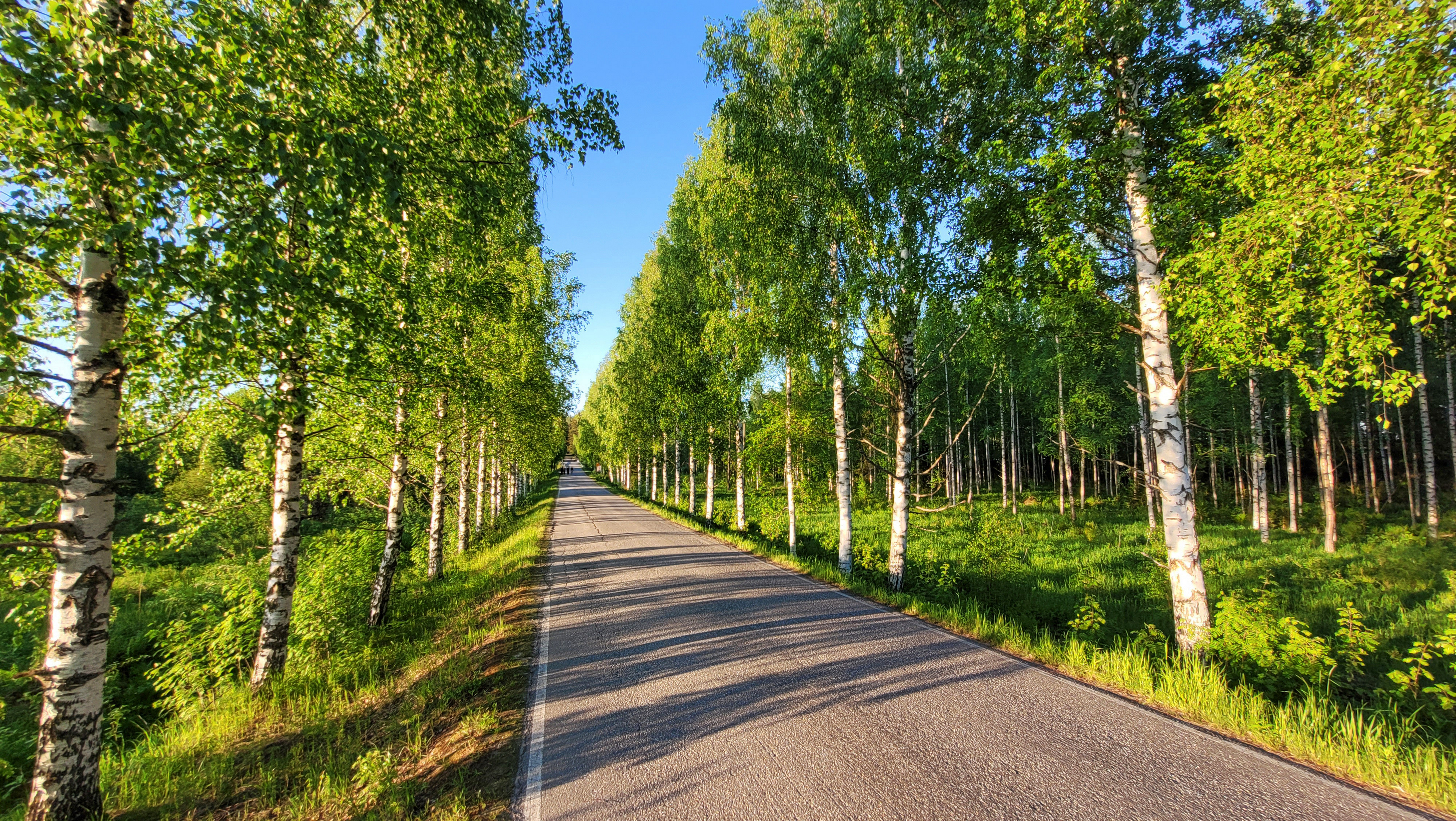The way to the New Valaamo Monastery