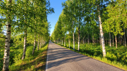 jarek11 
The way to the New Valaamo Monastery 
2022-06-16 12:41:51