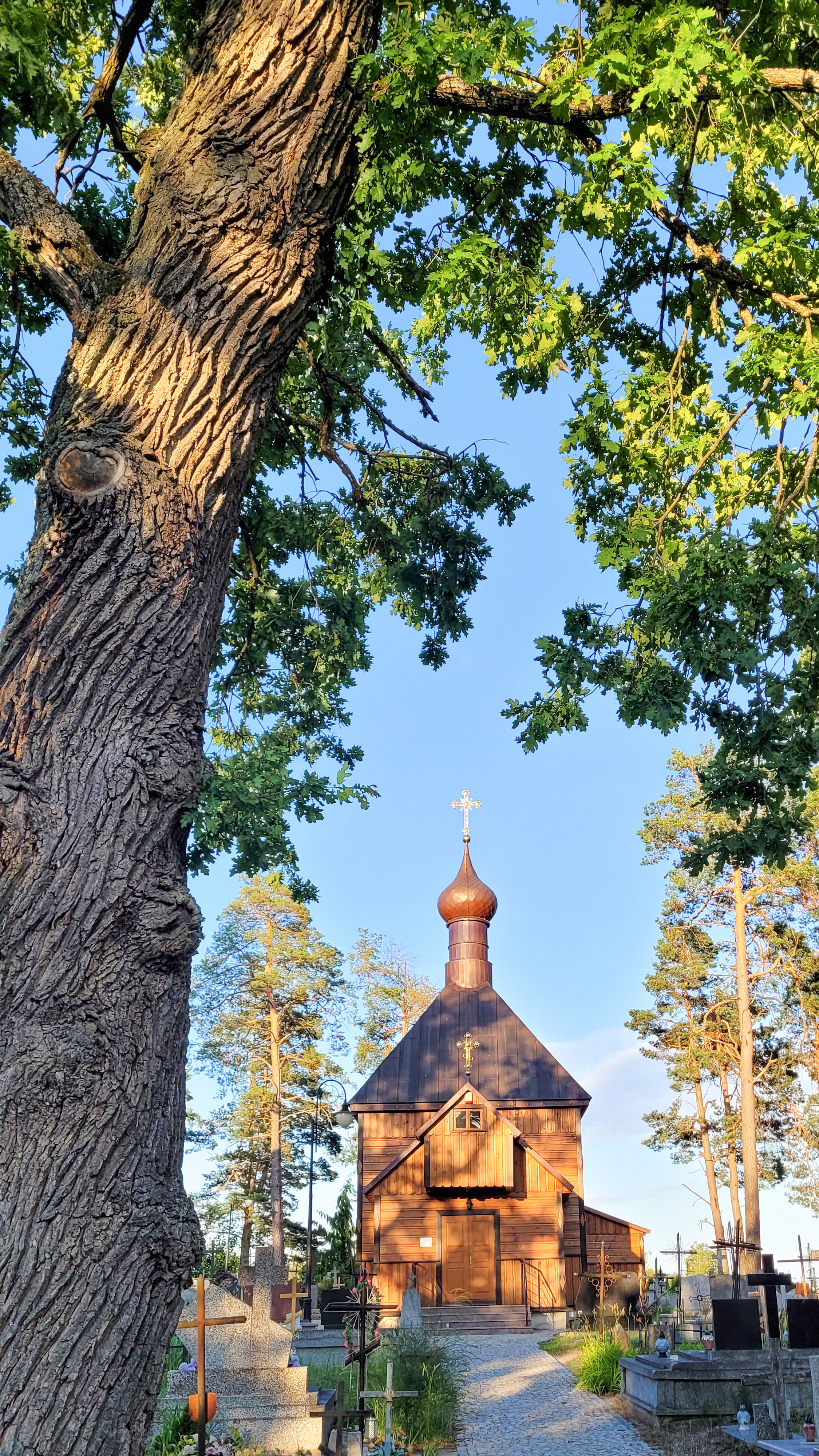 The cementary Orthodox church in Białowieża