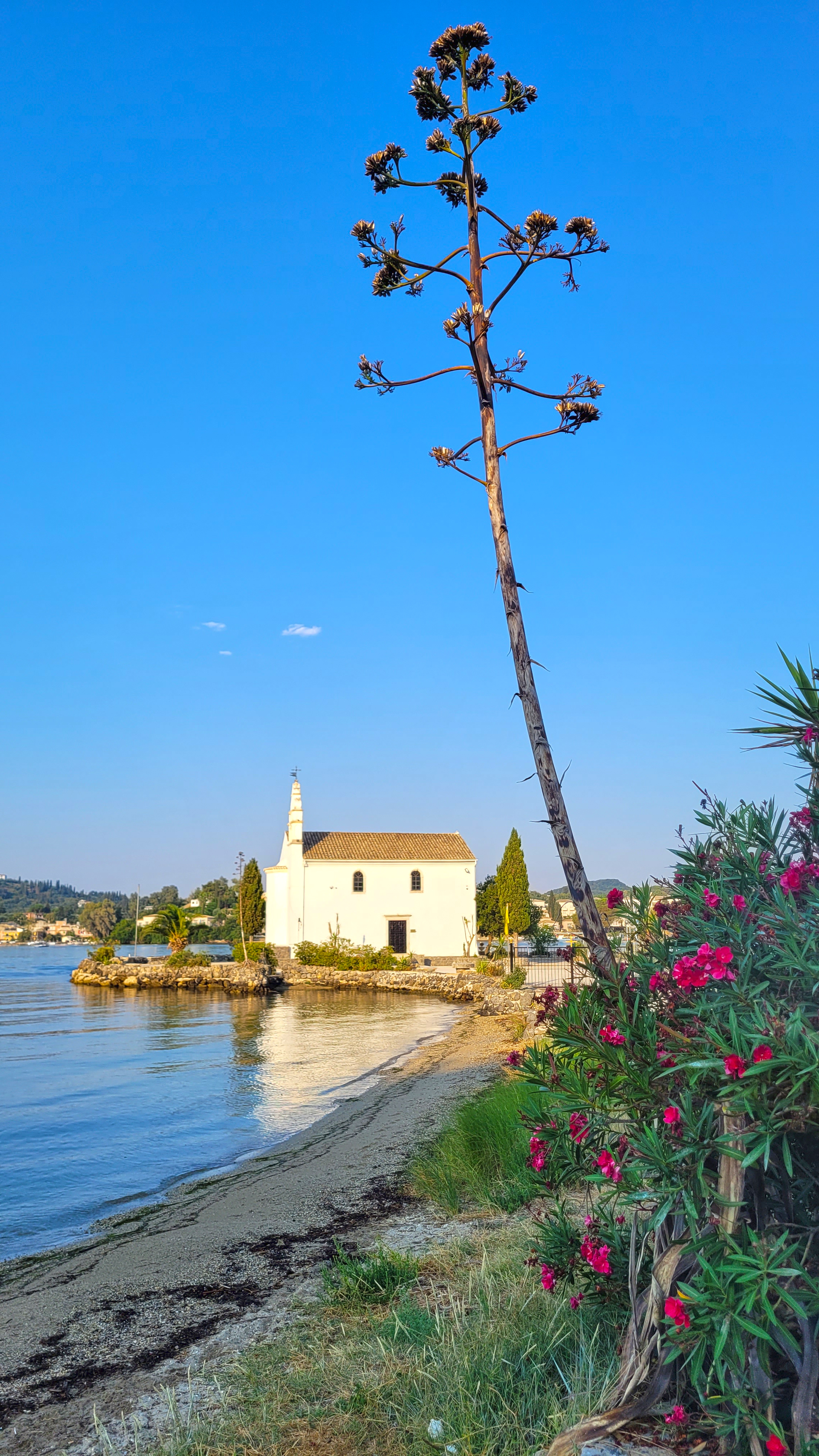 Ipapantis church in Corfu