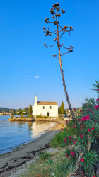 jarek 
Ipapantis church in Corfu 
12 
2022-09-04 12:14:44
