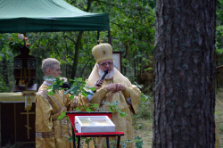 Sheep1389 
Kazanie władyki Warsonofiusza - leśna Liturgia XX warszawskiej pielgrzymki 
2022-09-05 21:06:24