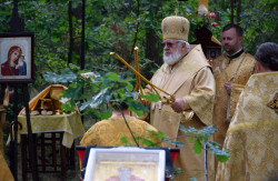 Sheep1389 
Błogosławieństwo biskupie na leśnej Liturgii 2022 
2022-09-06 19:50:59