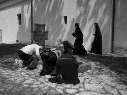 MIRA57 
In the Monastery 61 
18 
2022-09-19 14:27:07