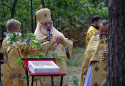 Sheep1389 
Sermon at Divine Liturgy in forest, Warsaw pilgrimage 2022 
2022-09-23 13:03:45
