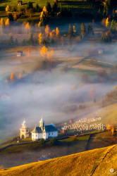 gabrielmarian 
Autumn in Bucovina 
30 
2022-10-30 18:49:55