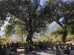 aniao 
Monasterskie podworko - Promachi 
9 
2022-11-05 03:02:07