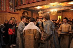 Mirella 
church of st. Nicholas in Gdansk 
2022-12-09 17:58:09