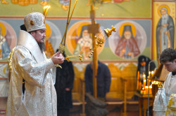 jarek 
The Divine Liturgy in Zwierki Convent 
2022-12-26 14:38:47