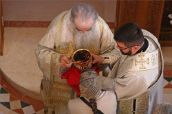 felix 
Holy Sacrament of Communion at Celije monastery - Святое Таинство Причастия в монастыре Челие 
2023-01-02 21:02:46