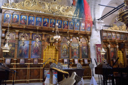 Sheep1389 
Basinm for the Holy Water, Paramon of Epiphany, Antakya 5.01.2023 
2023-01-14 20:48:30