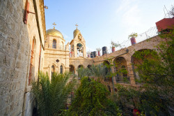 jarek11 
St. Gerasimos Monastery  
2023-01-28 15:20:28