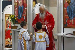 felix 
Bishop and altarboys - Епископ и прислужники 
24 
2023-02-01 20:06:04