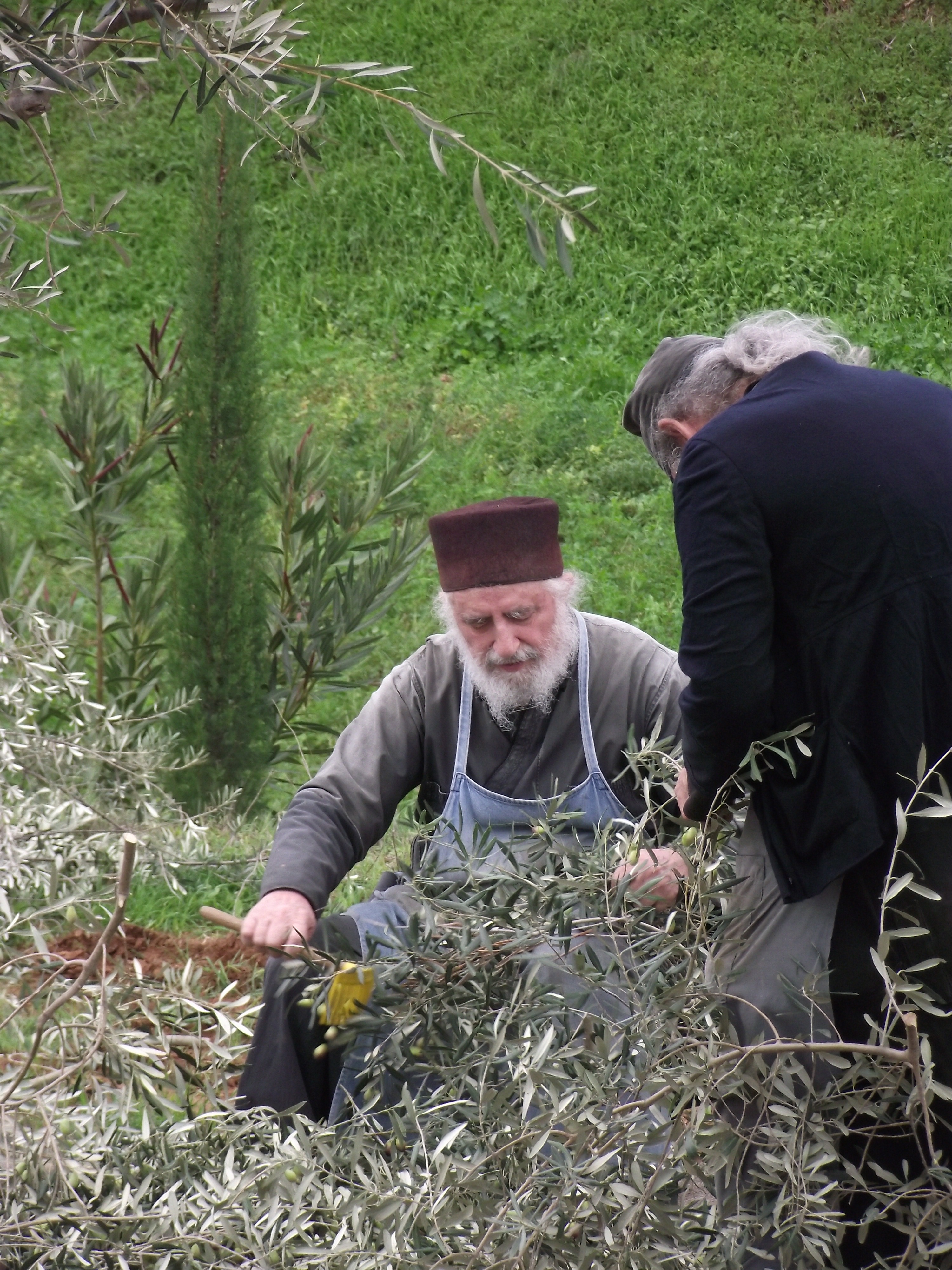 ojcowie Serafim i Hilarion