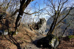 Sheep1389 
Rock of st. John of Rila where he was praying 
2023-03-17 10:10:43