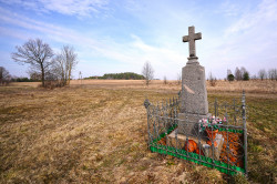 jarek1 
Wayside cross in Folwarki Wielkie 
2023-03-21 20:14:53