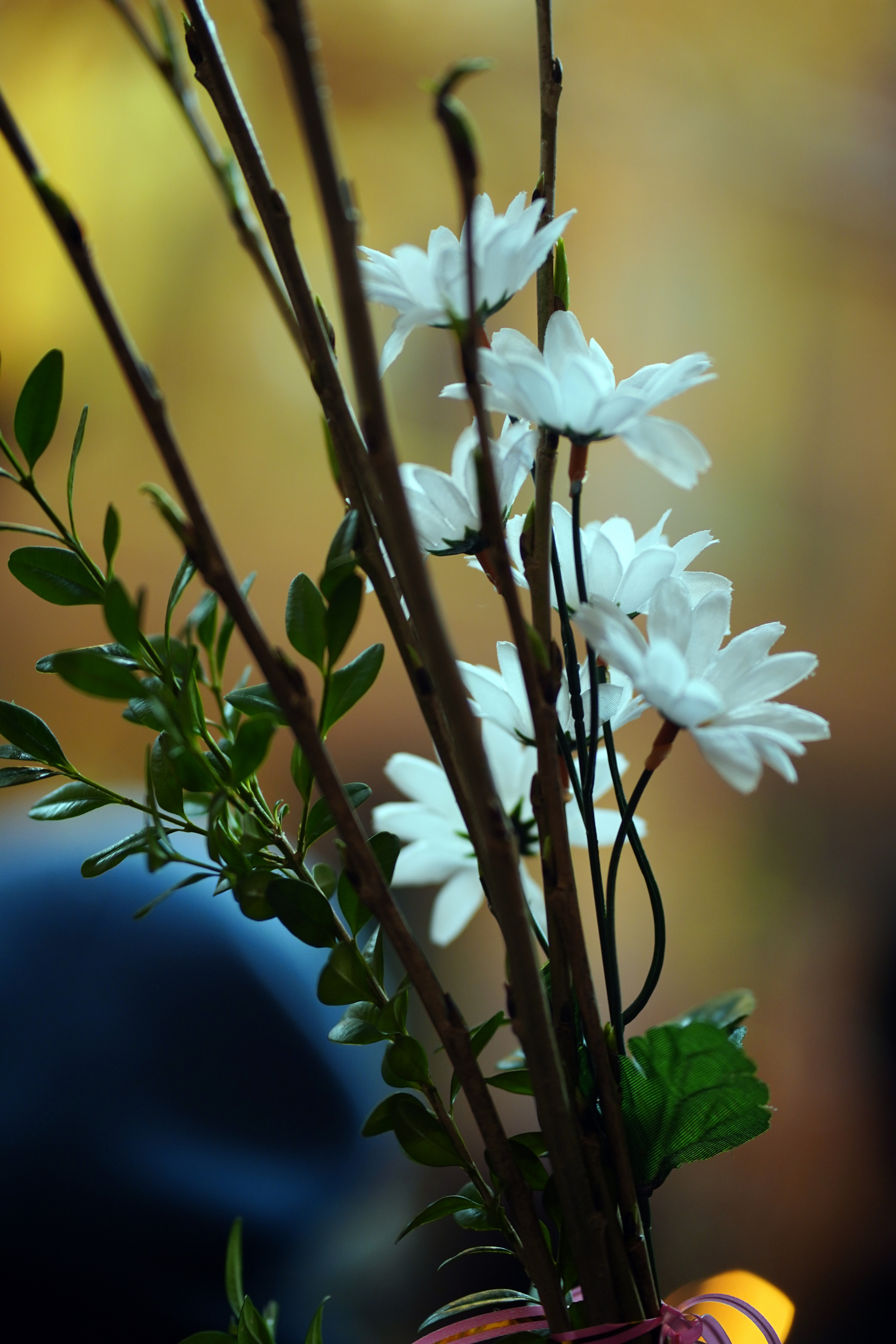 The Palm Sunday in Zwierki Convent