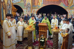 jarek1 
The Palm Sunday in Zwierki Convent 
2023-04-10 08:32:45