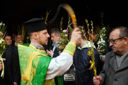 jarek1 
The Palm Sunday in Zwierki Convent 
2023-04-10 08:33:02
