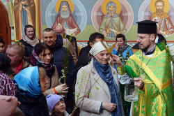 jarek1 
The Palm Sunday in Zwierki Convent 
2023-04-10 08:33:23