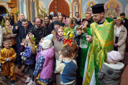 jarek1 
The Palm Sunday in Zwierki Convent 
2023-04-10 08:33:35