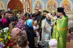 jarek1 
The Palm Sunday in Zwierki Convent 
2023-04-13 11:09:47