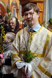 jarek1 
The Palm Sunday in Zwierki Convent 
2023-04-13 11:10:42