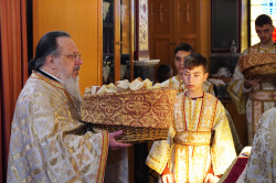 jarek 
The Divine Liturgy in Sts. Cosma and Damian Orthodox church in Veria 
2023-04-14 11:27:23