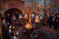 jarek1 
The reading of Twelve Gospels in Zwierki Convent 
2023-04-15 15:09:32
