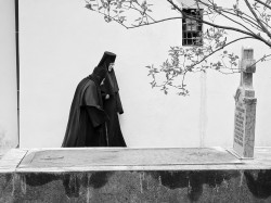 SASKO56 
In the Celije monastery 2 
2023-04-15 16:14:07